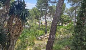 Venda Terreno Peguera