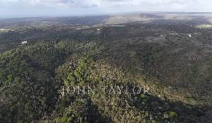 Venda Terreno São Francisco da Serra