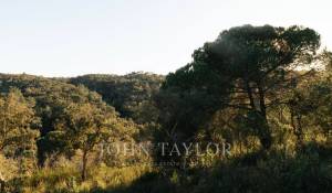 Venda Terreno São Francisco da Serra