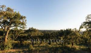 Venda Terreno São Francisco da Serra
