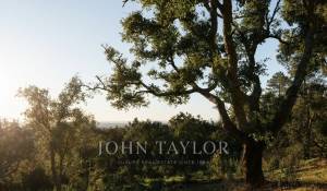 Venda Terreno São Francisco da Serra