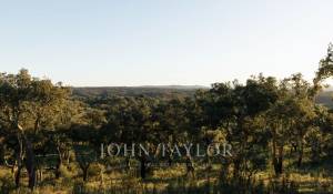 Venda Terreno São Francisco da Serra