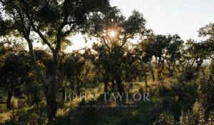 Venda Terreno São Francisco da Serra