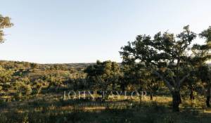 Venda Terreno São Francisco da Serra