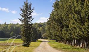 Venda Território equestre Barbentane