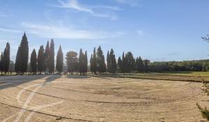 Venda Território equestre Barbentane