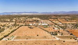 Venda Território equestre Llucmajor
