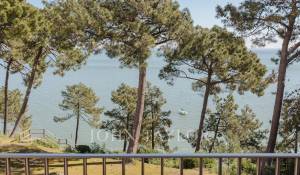 Venda Triplex Cap-Ferret