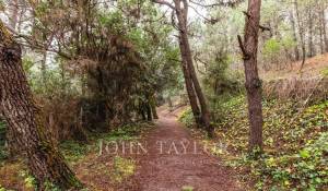 Venda Villa Cap-Ferret