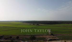 Venda Villa Carvalhal