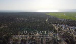 Venda Villa Carvalhal