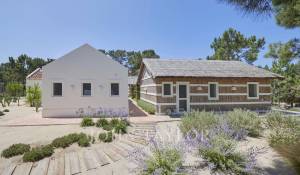 Venda Villa Carvalhal
