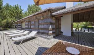 Venda Villa Carvalhal