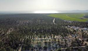 Venda Villa Carvalhal