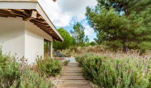 Venda Villa Grândola e Santa Margarida da Serra