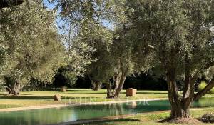 Venda Villa Marrakech