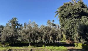 Venda Villa Marrakech