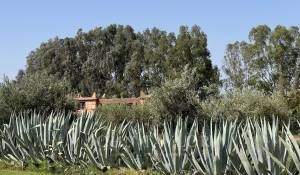 Venda Villa Marrakech