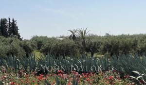 Venda Villa Marrakech