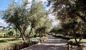 Venda Villa Marrakech