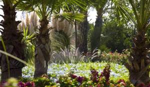Venda Villa Marrakech