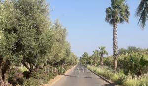 Venda Villa Marrakech