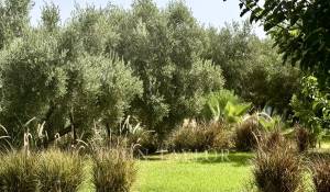 Venda Villa Marrakech