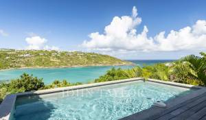 Venda Villa Saint-Barthélemy