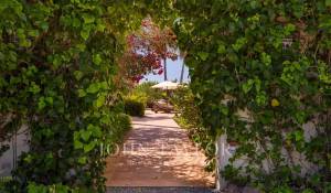 Venda Villa Sant Jordi de Ses Salines