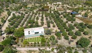 Venda Villa Santa Maria