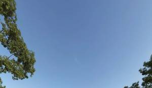 Venda Villa Sotogrande