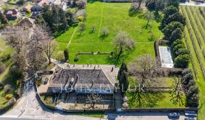 Venda Villa Tolochenaz