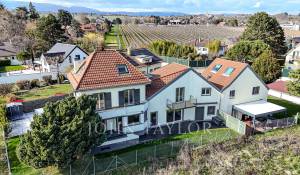 Venda Villa Tolochenaz